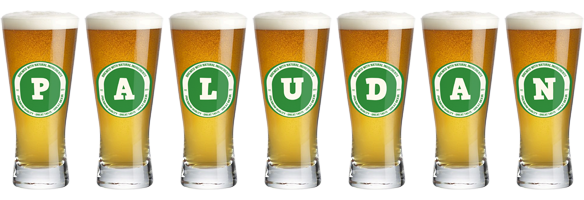 Paludan lager logo