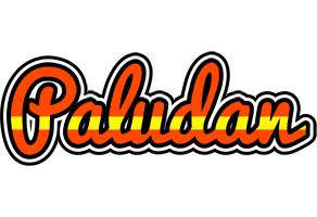 Paludan madrid logo