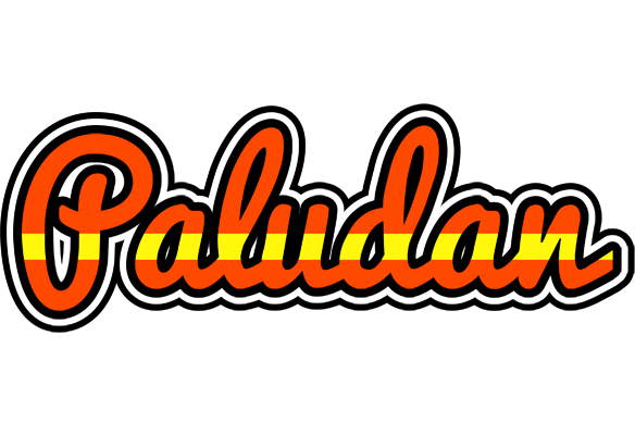 Paludan madrid logo