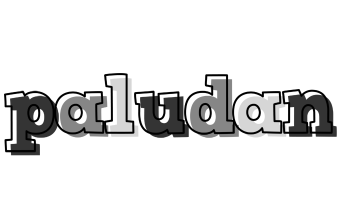 Paludan night logo