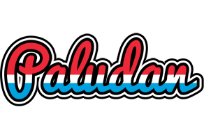 Paludan norway logo