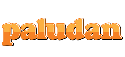 Paludan orange logo