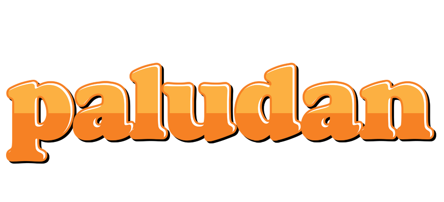 Paludan orange logo