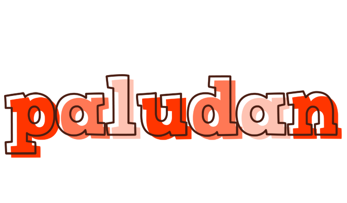 Paludan paint logo