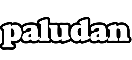 Paludan panda logo