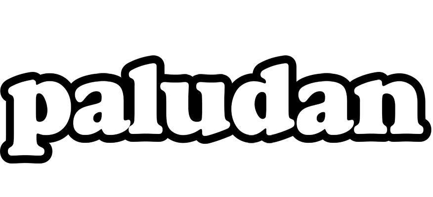 Paludan panda logo