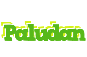 Paludan picnic logo