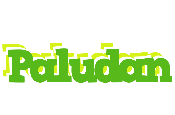 Paludan picnic logo