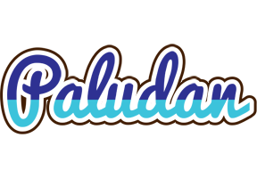 Paludan raining logo