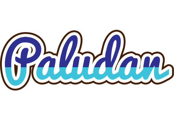 Paludan raining logo