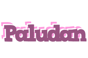 Paludan relaxing logo