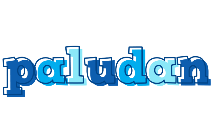 Paludan sailor logo