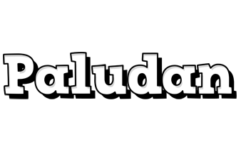 Paludan snowing logo