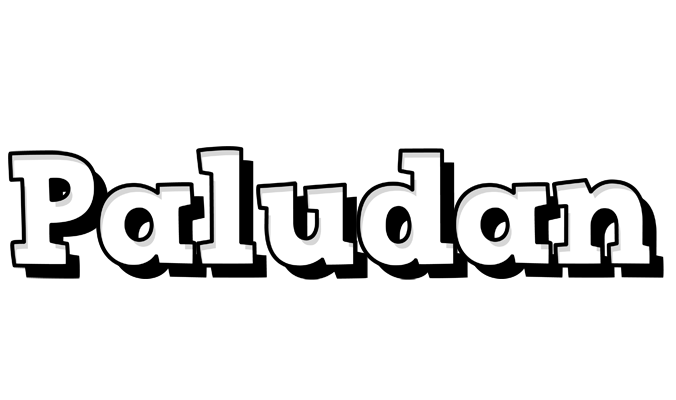 Paludan snowing logo