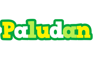 Paludan soccer logo