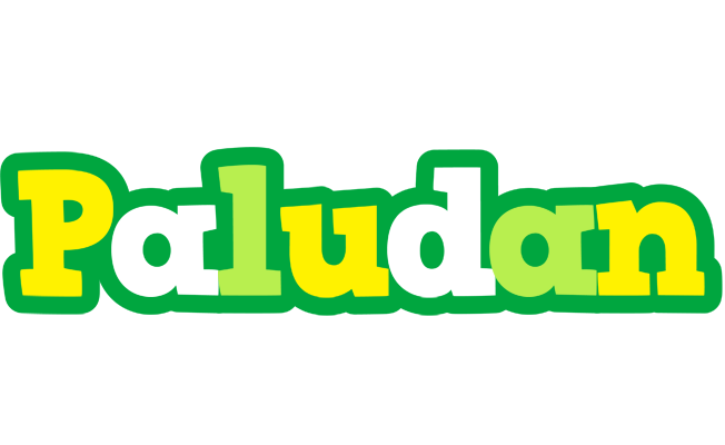 Paludan soccer logo