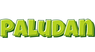 Paludan summer logo