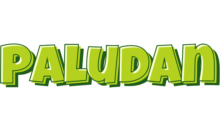 Paludan summer logo