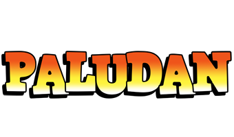 Paludan sunset logo