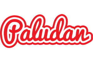 Paludan sunshine logo