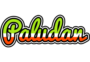 Paludan superfun logo