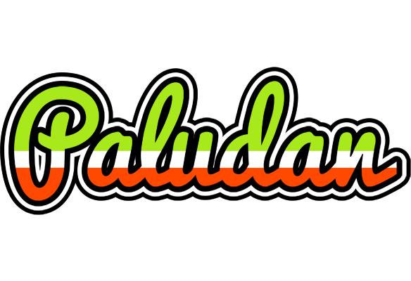Paludan superfun logo