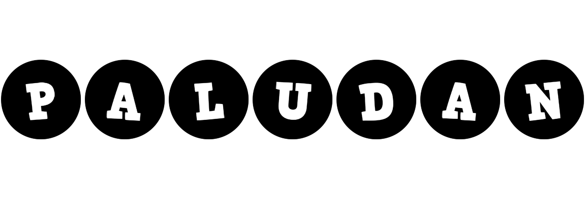 Paludan tools logo