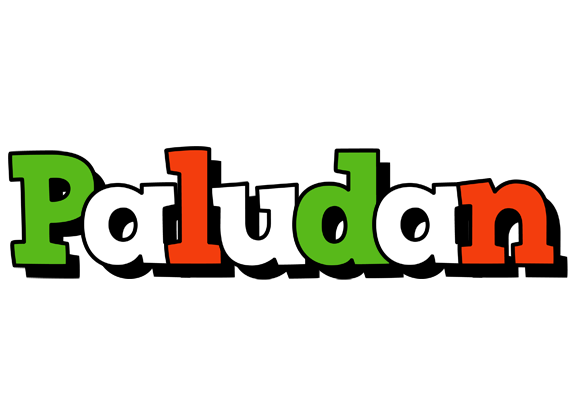 Paludan venezia logo