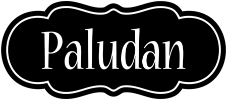 Paludan welcome logo