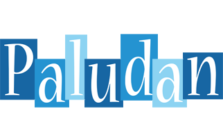 Paludan winter logo