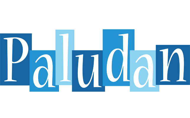 Paludan winter logo
