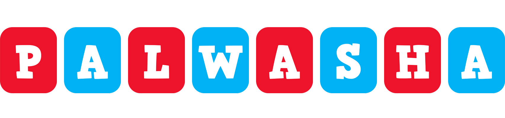 Palwasha diesel logo