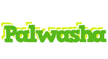 Palwasha picnic logo