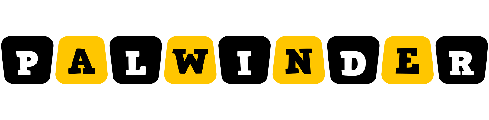 Palwinder boots logo