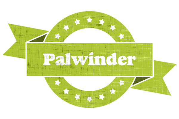 Palwinder change logo