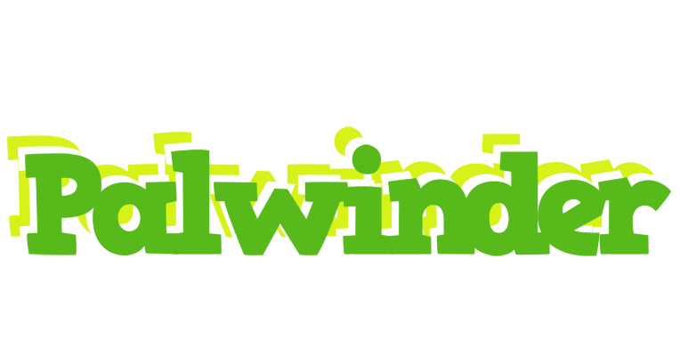 Palwinder picnic logo