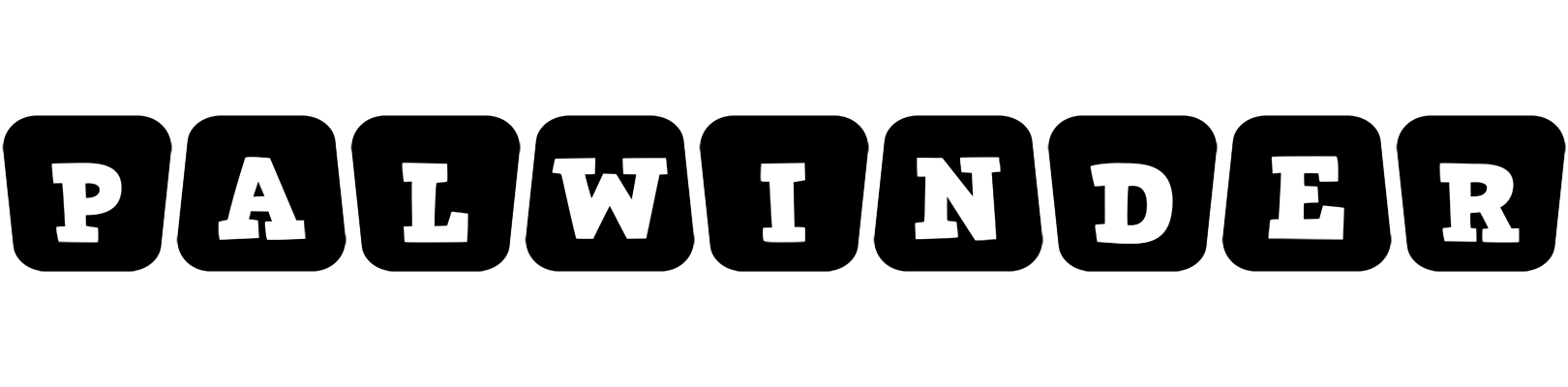 Palwinder racing logo