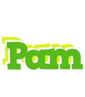 Pam picnic logo