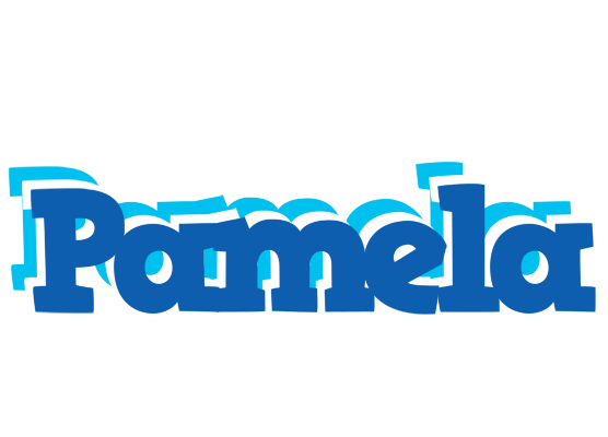 Pamela business logo