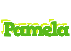 Pamela picnic logo