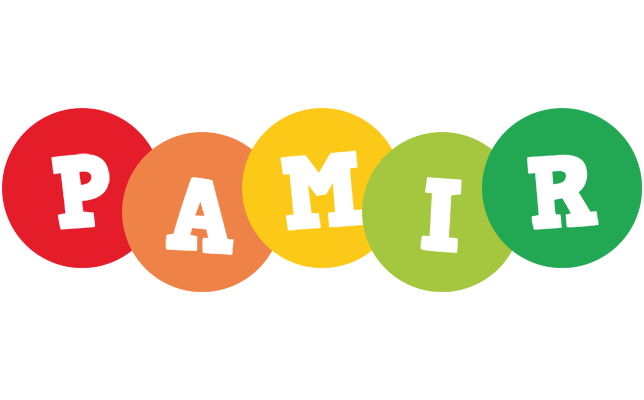 Pamir boogie logo
