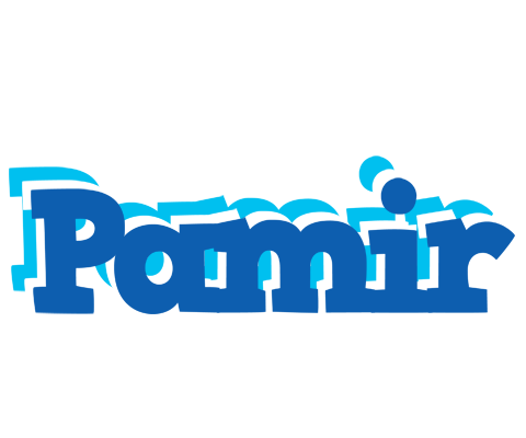 Pamir business logo