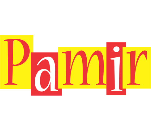 Pamir errors logo