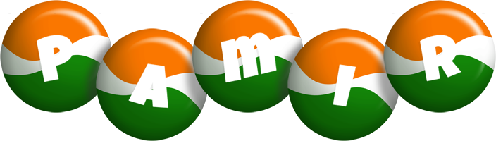 Pamir india logo