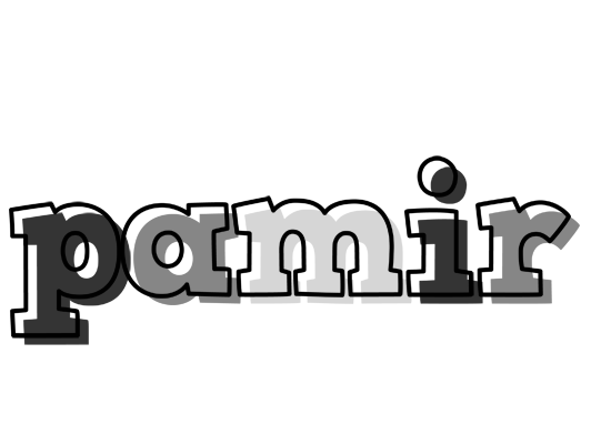 Pamir night logo