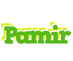 Pamir picnic logo