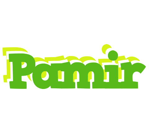 Pamir picnic logo