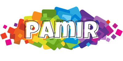 Pamir pixels logo