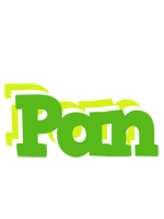 Pan picnic logo