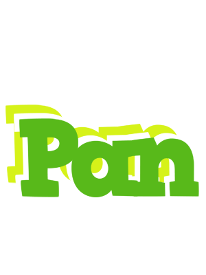 Pan picnic logo